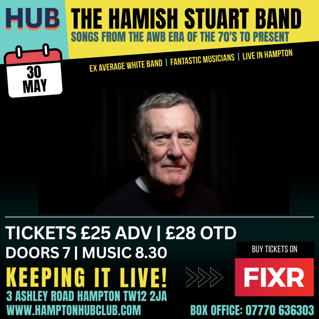 The Hamish Stuart Band